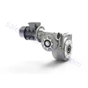 Worm Gearbox RS/RS Series