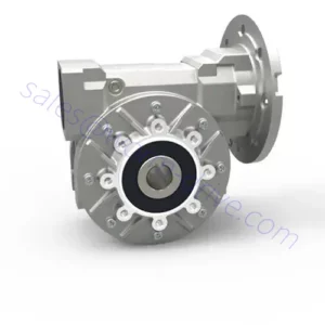 Worm Gearbox RS series